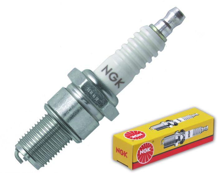 B10EG_1723580504.jpg