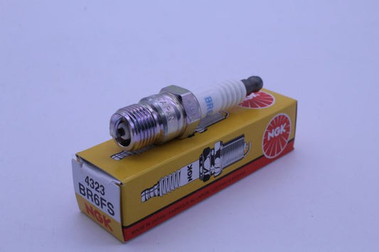 BR6FS_1697486516.JPG