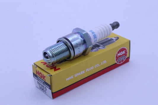 BR8ESS_1697477077.JPG
