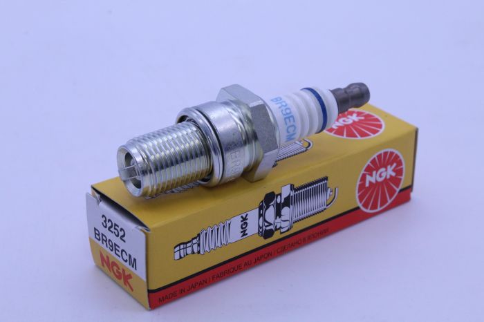 BR9ECM_1697477116.JPG