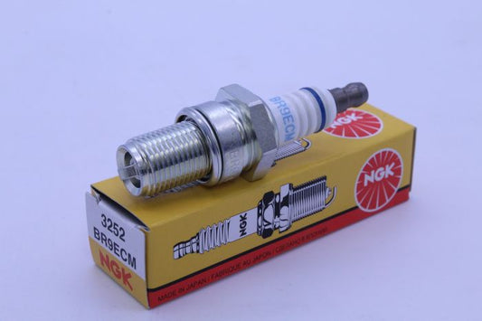 BR9ECM_1697477116.JPG