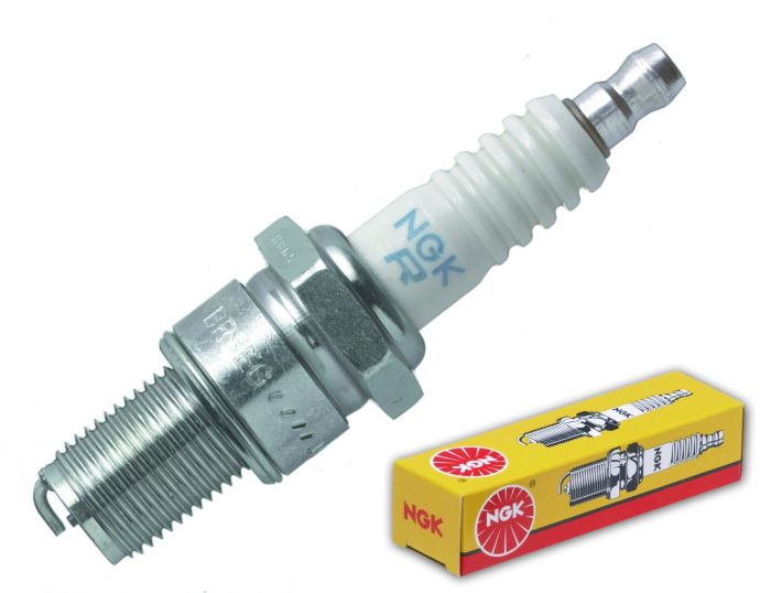 BR9EG_1723567289.jpg
