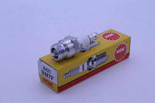 BM7F_1697469145.JPG