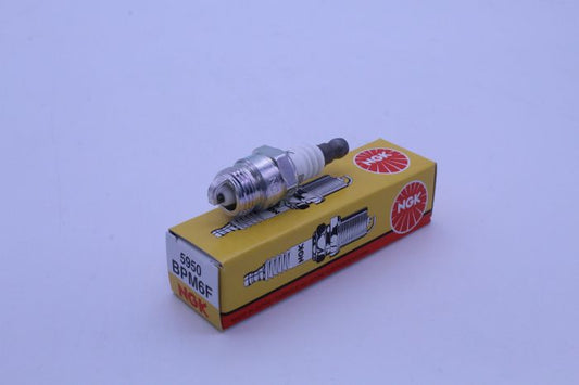 BPM6F_1697469914.JPG