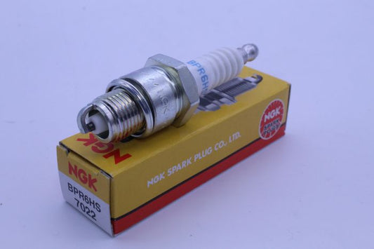 BPR6HS_1697470024.JPG