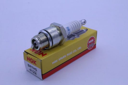 BR7HS_1697481820.JPG