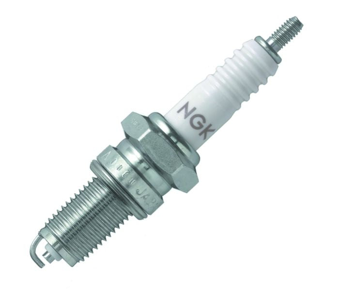 DP7EA-9_1723817384.jpg
